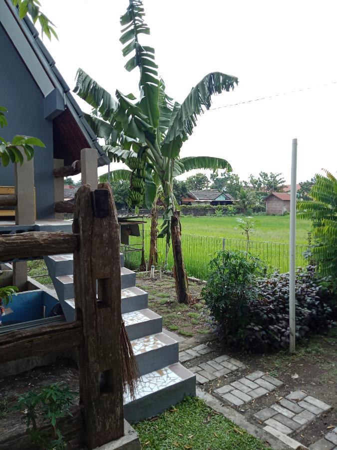 Joglopari Guesthouse Room 2 Bukan Untuk Pasangan Non Pasutri Tjepit Eksteriør bilde